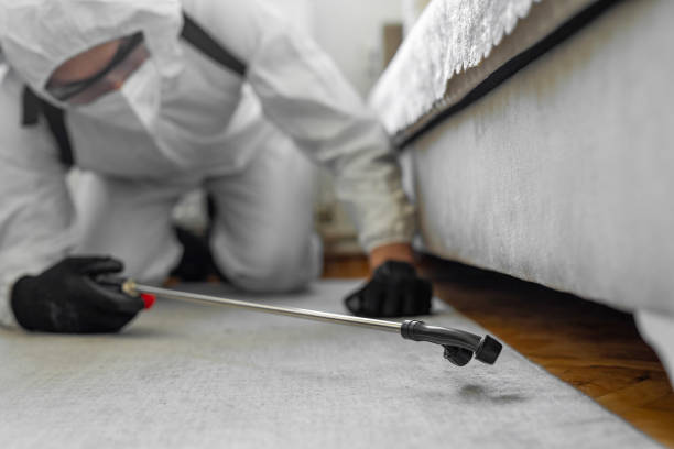 Professional Bed Bug Control technician working in Goochland County County, VA